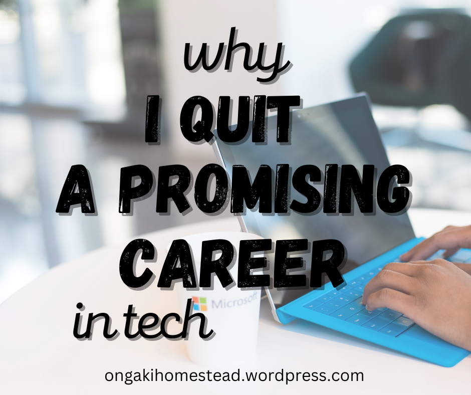 Why I Quit A Promising Career In Tech For Homemaking