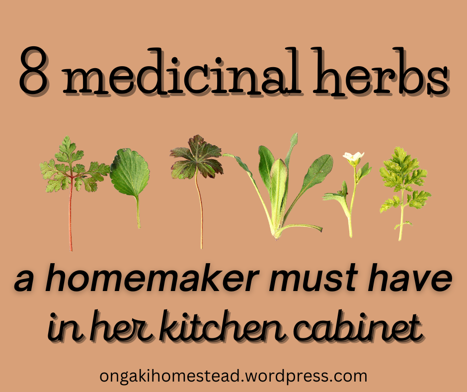 8 Medicinal Herbs A Homemaker Must Have In Her Kitchen Cabinet