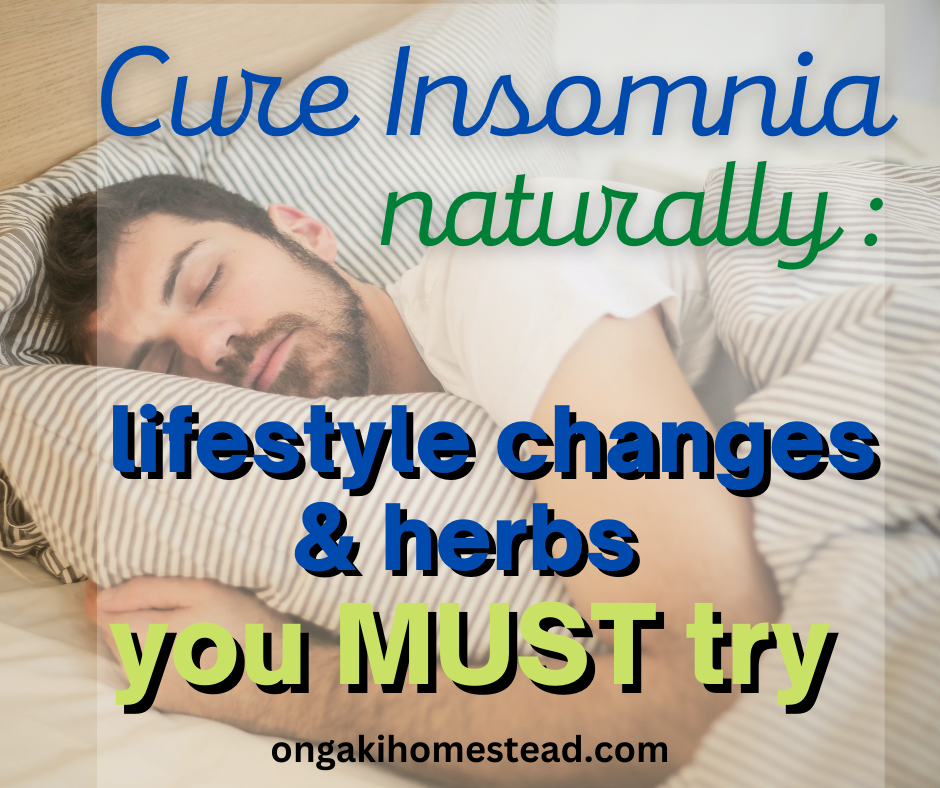 Cure Insomnia Naturally : Lifestyle Changes & Herbs You Must Try