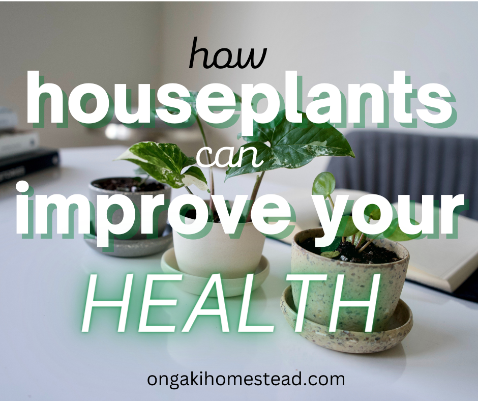 How Houseplants Can Improve Your Health (From An Experienced Naturopath)