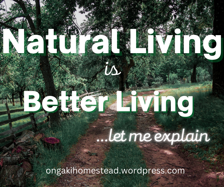 Natural Living Is Better Living: Let Me Explain
